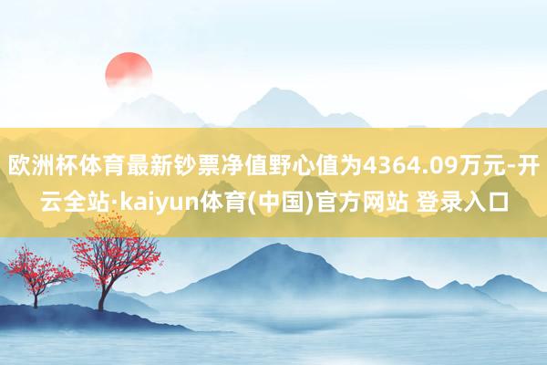 欧洲杯体育最新钞票净值野心值为4364.09万元-开云全站·kaiyun体育(中国)官方网站 登录入口