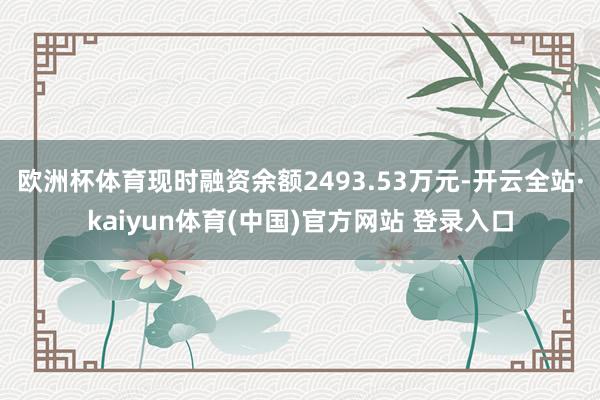 欧洲杯体育现时融资余额2493.53万元-开云全站·kaiyun体育(中国)官方网站 登录入口