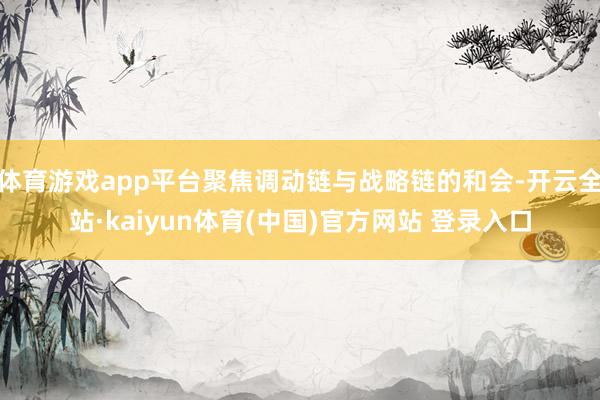 体育游戏app平台聚焦调动链与战略链的和会-开云全站·kaiyun体育(中国)官方网站 登录入口