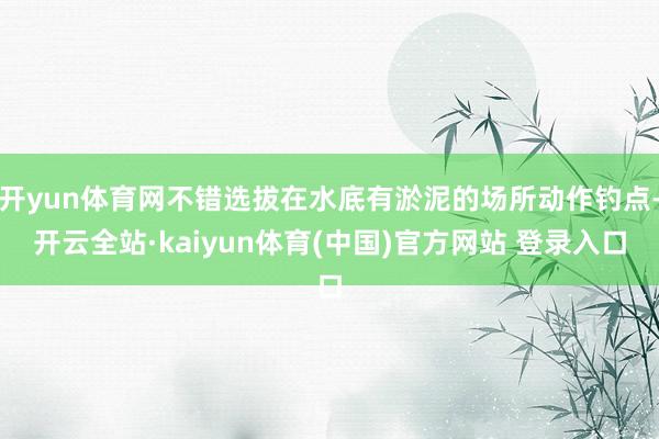 开yun体育网不错选拔在水底有淤泥的场所动作钓点-开云全站·kaiyun体育(中国)官方网站 登录入口